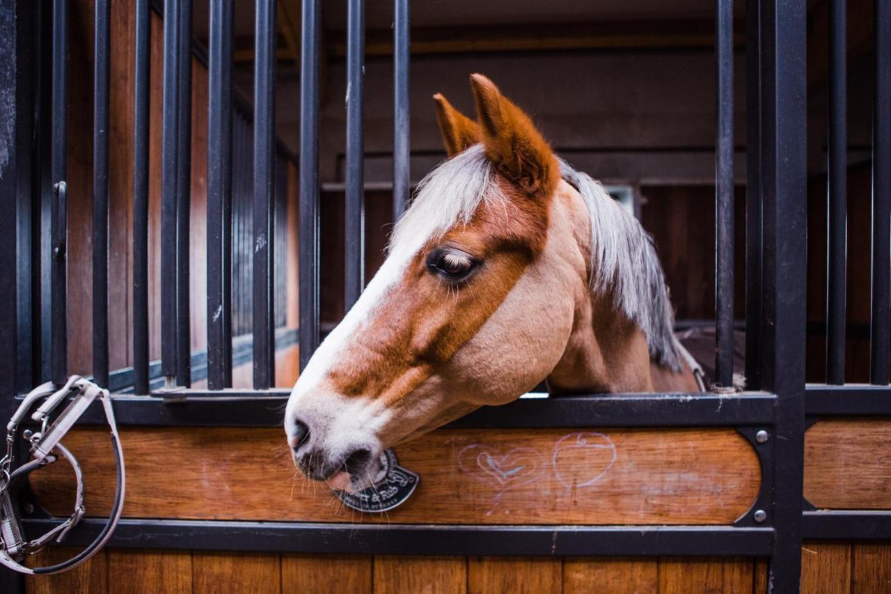 Salio Equisport Resort Стрыкув Экстерьер фото